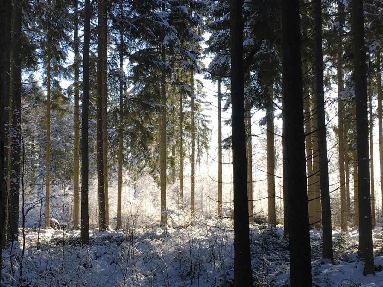 Vila Lille Carlsson Broby Exteriér fotografie