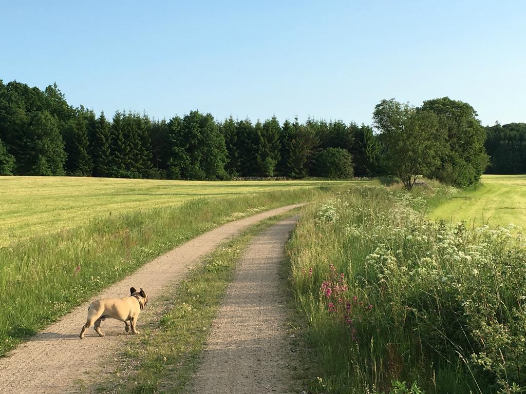 Vila Lille Carlsson Broby Exteriér fotografie